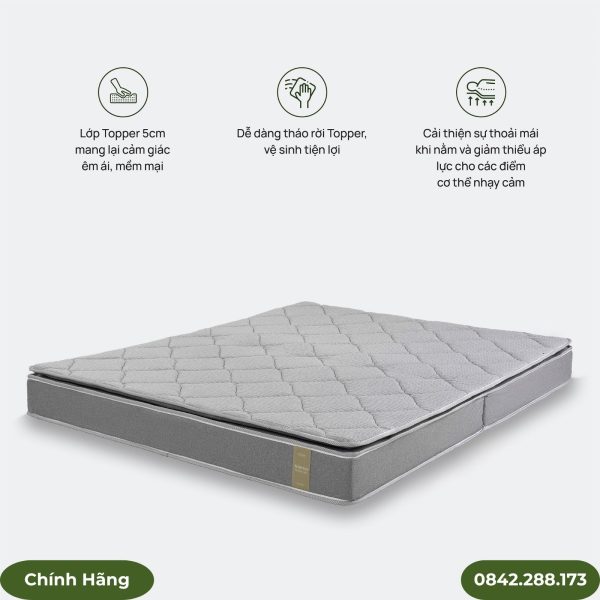 Đệm bông ép Everon TOP PLUS New