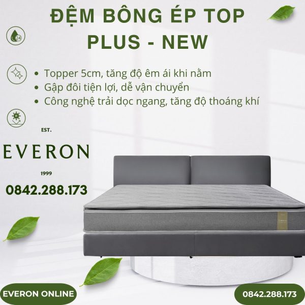 Đệm bông ép Everon TOP PLUS - New