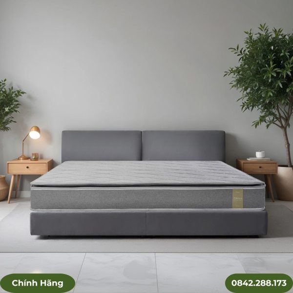 Đệm bông ép TOP PLUS Everon