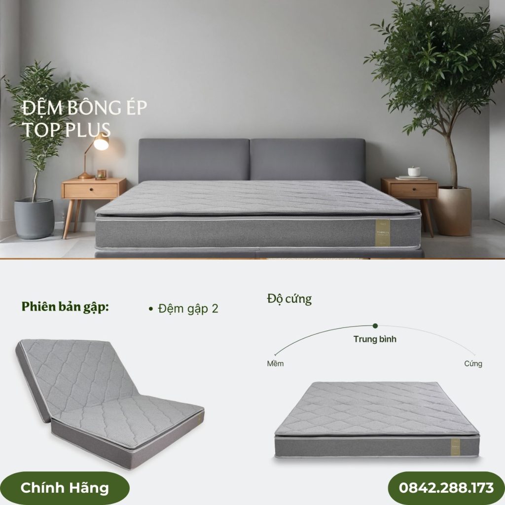 Đệm bông ép TOP PLUS vỏ xám Everon