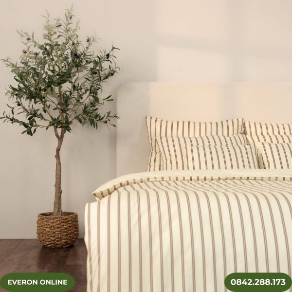 Bộ chăn ga Everon Linear EPC27031 Cotton họa tiết kẻ