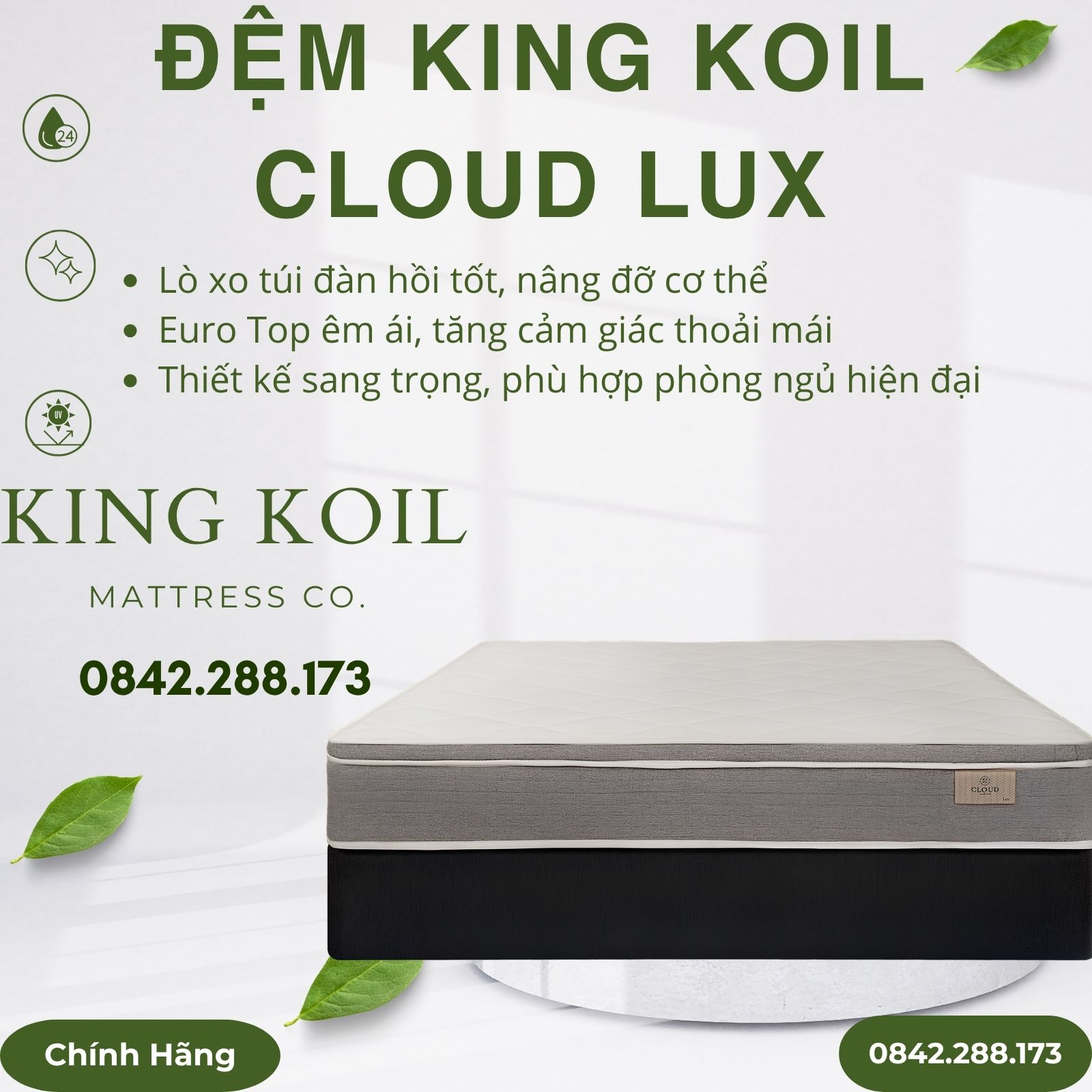 Đệm King Koil Cloud Lux lò xo túi Đệm King Koil Cloud Lux lò xo túi