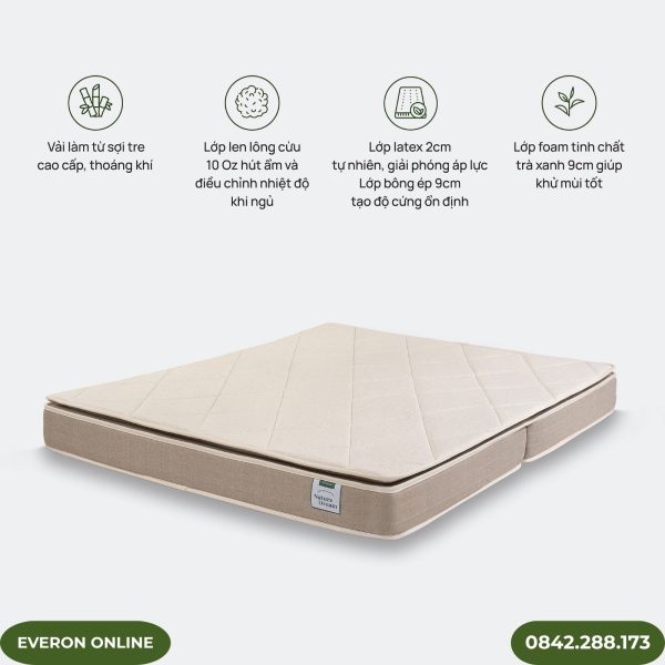 Đệm foam Artemis Nature Dream Support