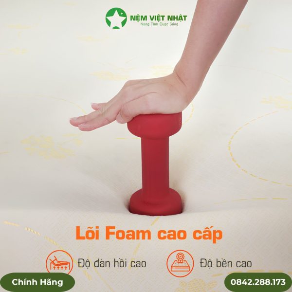 Nệm Foam Latex Gold Mút D