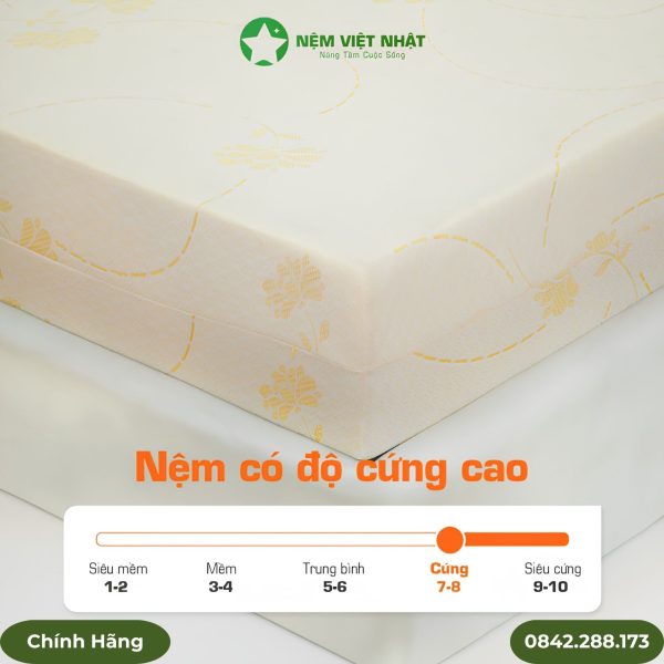 Nệm Foam Việt Nhật Mút D Gold