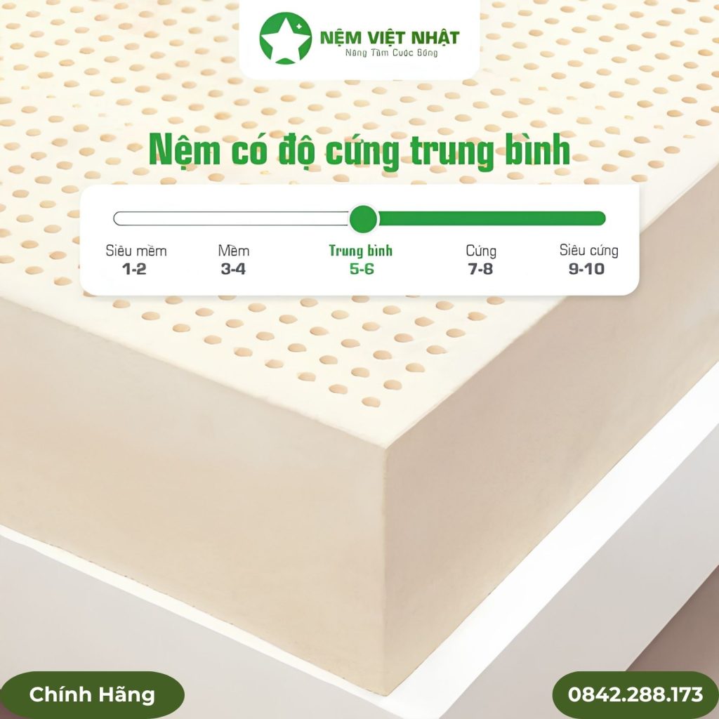 Nệm cao su Natural Việt Nhật chính hãng
