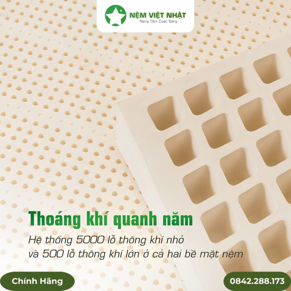 Nệm cao su thiên nhiên nguyên khối