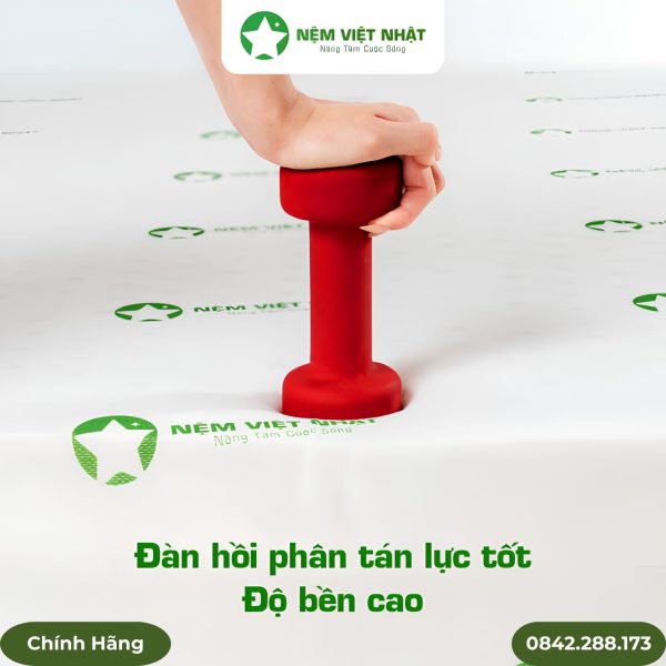 Nệm foam Sora mút D
