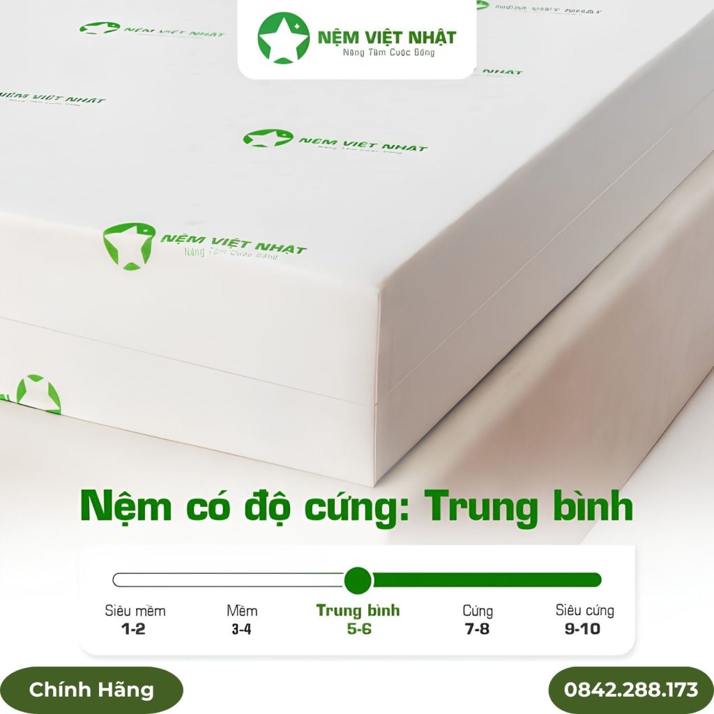 Nệm foam Việt Nhật Sora 2 lớp