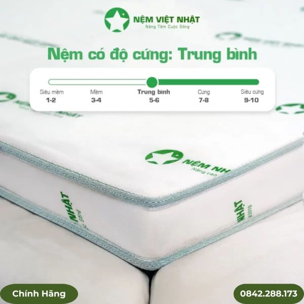 Nệm foam Việt Nhật Sora 2 lớp gập 3
