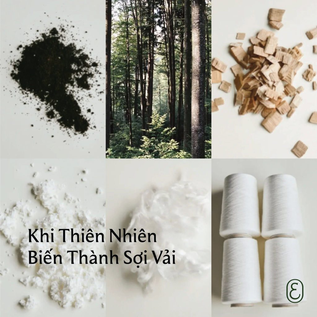 Sợi vải thiên nhiên EVERON cung cấp chăn ga gối đệm an toàn cho giấc ngủ