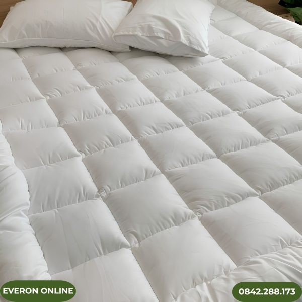 Topper đệm Everon chính hãng