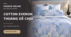 Bộ chăn ga Everon Cotton 6 mẫu đẹp, dễ phối phòng