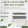 Bộ ga chun chần bốn mùa Everon BPC704 Pinstripe Cotton BST Basic