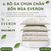 Bộ ga chun chần bốn mùa Everon EPC26014 Sách hoa
