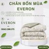 Chăn bốn mùa Everon EPC26014 Sách hoa Cotton Sateen BST Đơm hoa