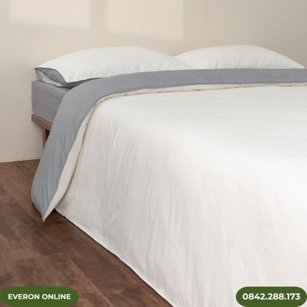 Chăn ga gối EVERON BPC704 Pinstripe Cotton BST Basic