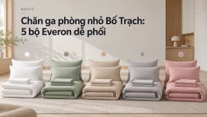 Chăn ga phòng nhỏ Bố Trạch 5 bộ Everon dễ phối