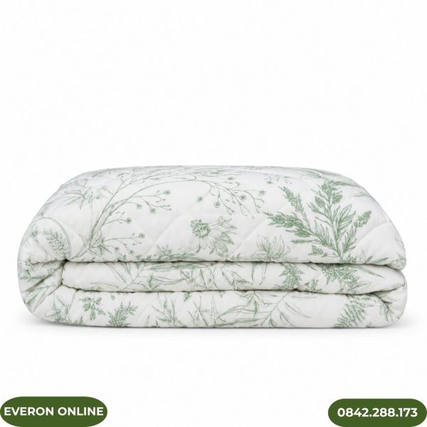 Ga Chun Chần Modal Cotton Everon EPM25032 BST Ever-on Sao chép