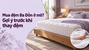 Mua đệm Ba Đồn ở mô Gợi ý trước khi thay đệm