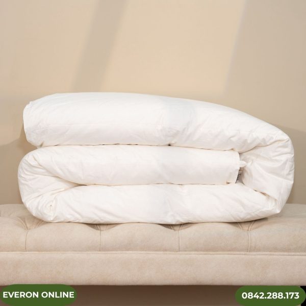 Ruột Chăn Lông Ngỗng Everon 90% Nhung Siêu Nhẹ
