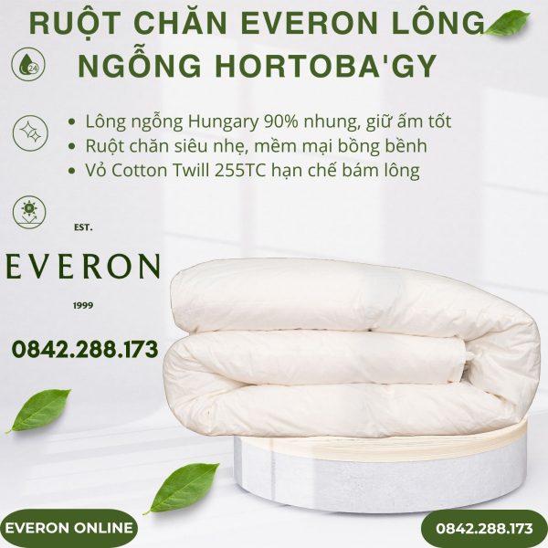 Ruột Chăn Lông Ngỗng Everon Hortobágy Cao Cấp Hungary