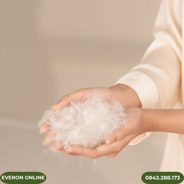 Ruột chăn lông vũ Everon cao cấp cho giường đôi
