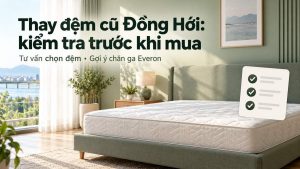 Thay đệm cũ Đồng Hới kiểm tra trước khi mua